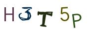 Image CAPTCHA